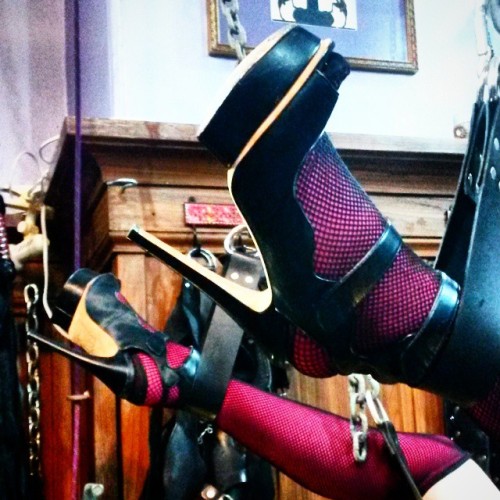 Put your shoes in the air & wave em all around like you just don’t care! Sissy prepares for a pegging! #femdom #mistress #aliceinbondageland #bdsm #kinky #sexy #sexygram #bondage #fetish #domina #domme #shoes #highheels #sissy #crossdresser