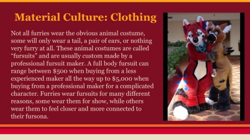 clean-furry-fuzzbutts:  The furry subculture! Now with visuals! Hope you all enjoy c: