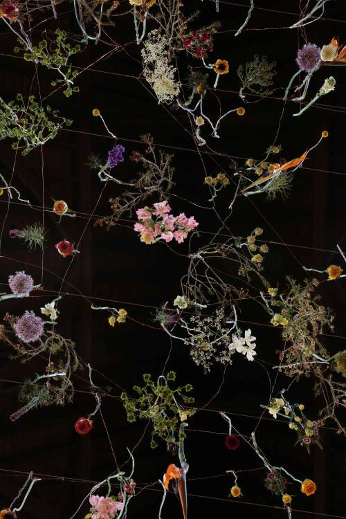 XXX littlelimpstiff14u2:  Suspended Floral Installations photo