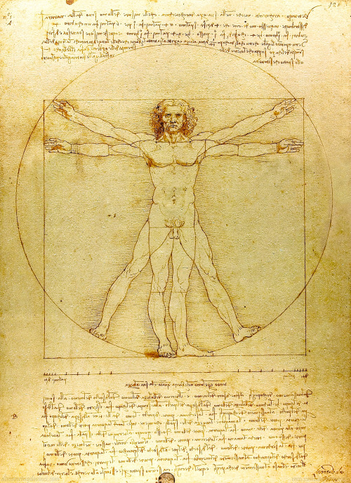 discoveringdavinci:  This is Leonardo da Vinci’s Vitruvian Man. It’s a sketch of the human body showing how it’s mathematical proportions are related to a square and a circle. When you are trying to sketch or paint a person it can be very difficult