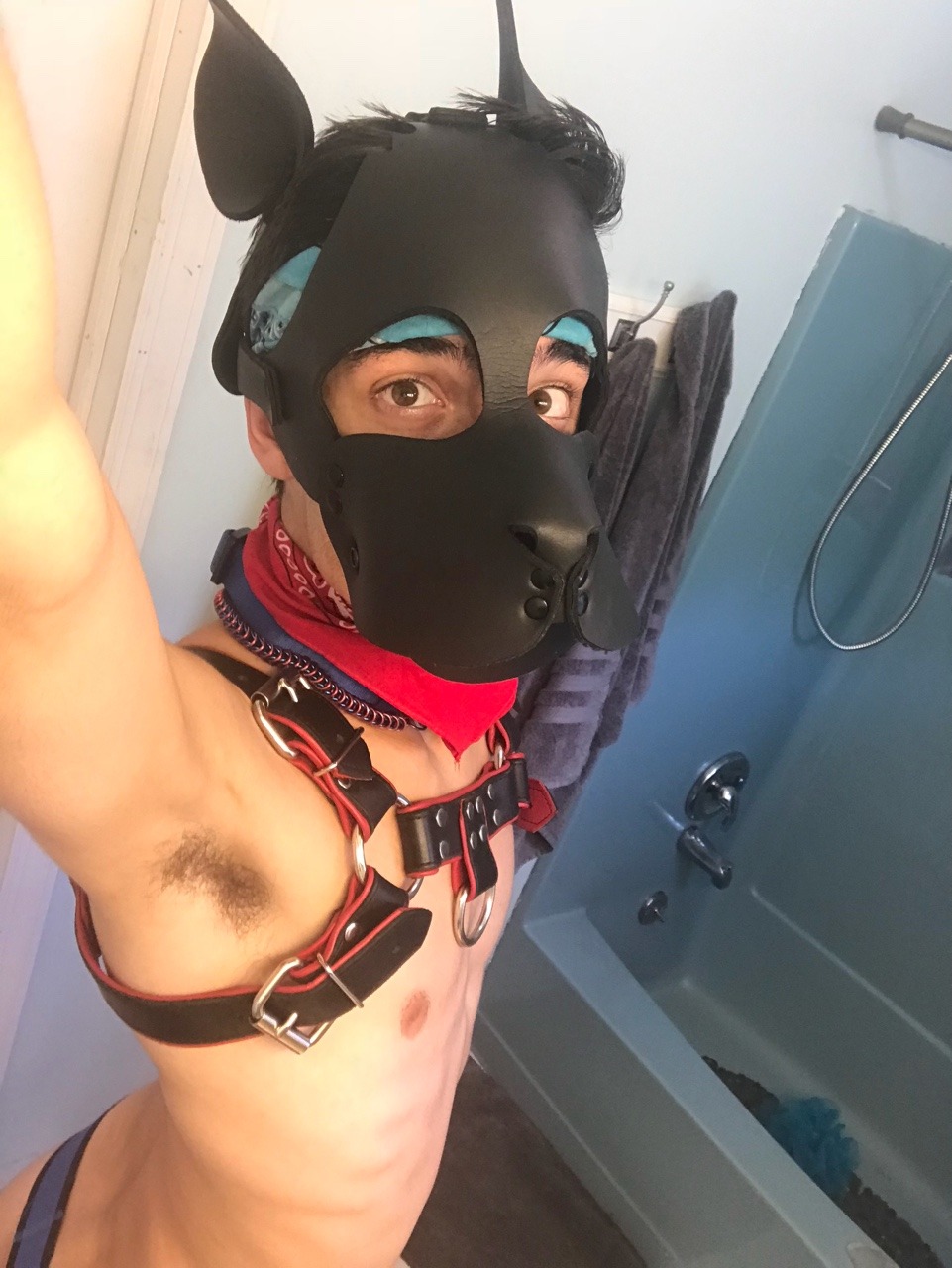 pupholstergunner:  I may look innocent but those who know me, know that’s false