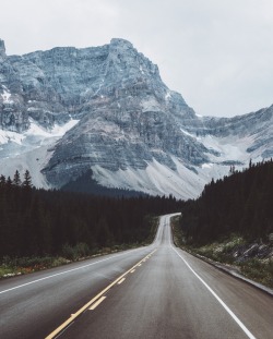 samelkinsphoto:  Alberta, Canada.