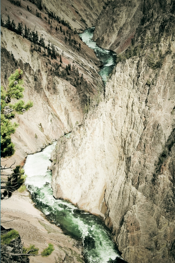 archangvl:   Grand Canyon of Yellowstone | Archangel 