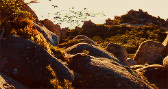mastergamgee:The Fellowship of the Ring (2001) - Scenery
