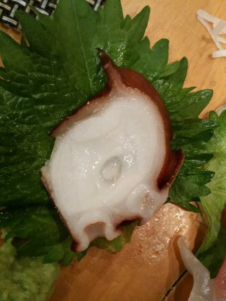 0331Kouhei: Tatsunari hijacked Shiota-sanâ€™s Twitter  I, when eating sashimi