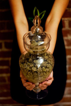 thatsgoodweed:  bring this to any house warming.. 