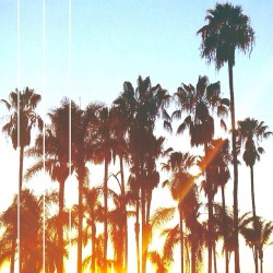 macdaddyc:  california sunset 