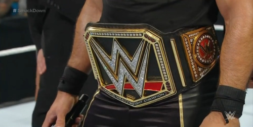 all-day-i-dream-about-seth:  flawlessglamazon:lambchopviking:being the wwe champions means having a camera shoved up your crotch 24/7 apparently  Pretty sure he’s used to cameras on his crotch.  I see no lies in this statement!