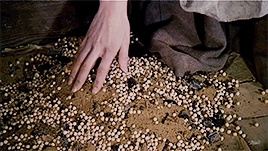 kolmikaelsohn: Let’s get fangirling! [3/10 movies] Drei Haselnüsse für Aschenbrödel/Tři oříšky pro P