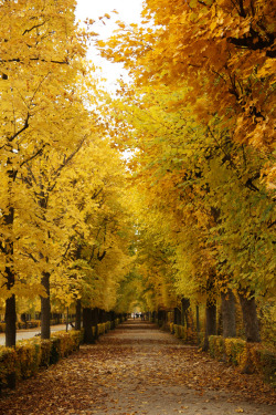 brutalgeneration:  Autumn Sunday | Schönbrunn [Explored] (by Nina Wöss) 