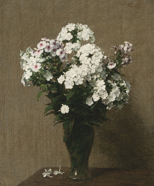 thunderstruck9:Henri Fantin-Latour (French, 1836-1904), Phlox, 1888. Oil on canvas, 56.5 x 46.4 cm.