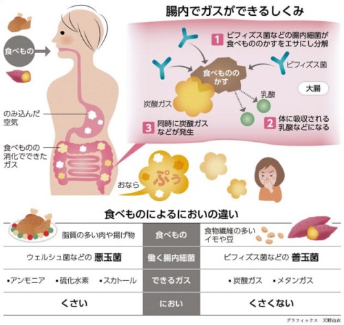 おならはなんで出るの？｜ヘルスＵＰ｜NIKKEI STYLE