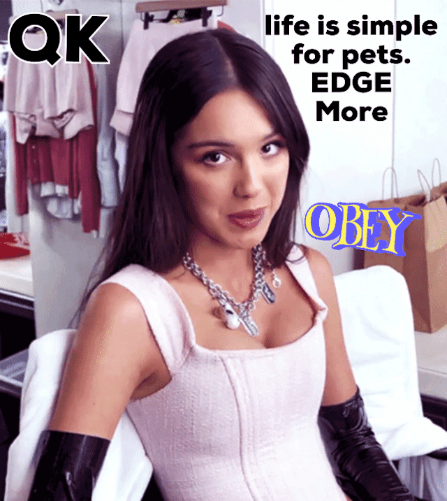 kat-qk: