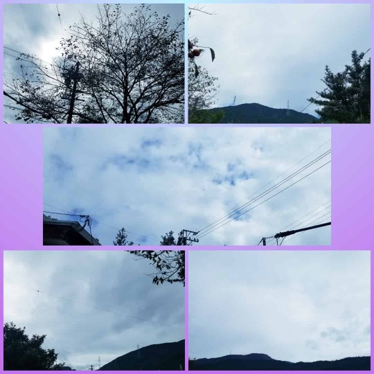 涼風涼雨 Explore Tumblr Posts And Blogs Tumgir 涼風涼雨 Explore Tumblr Posts And Blogs Tumgir