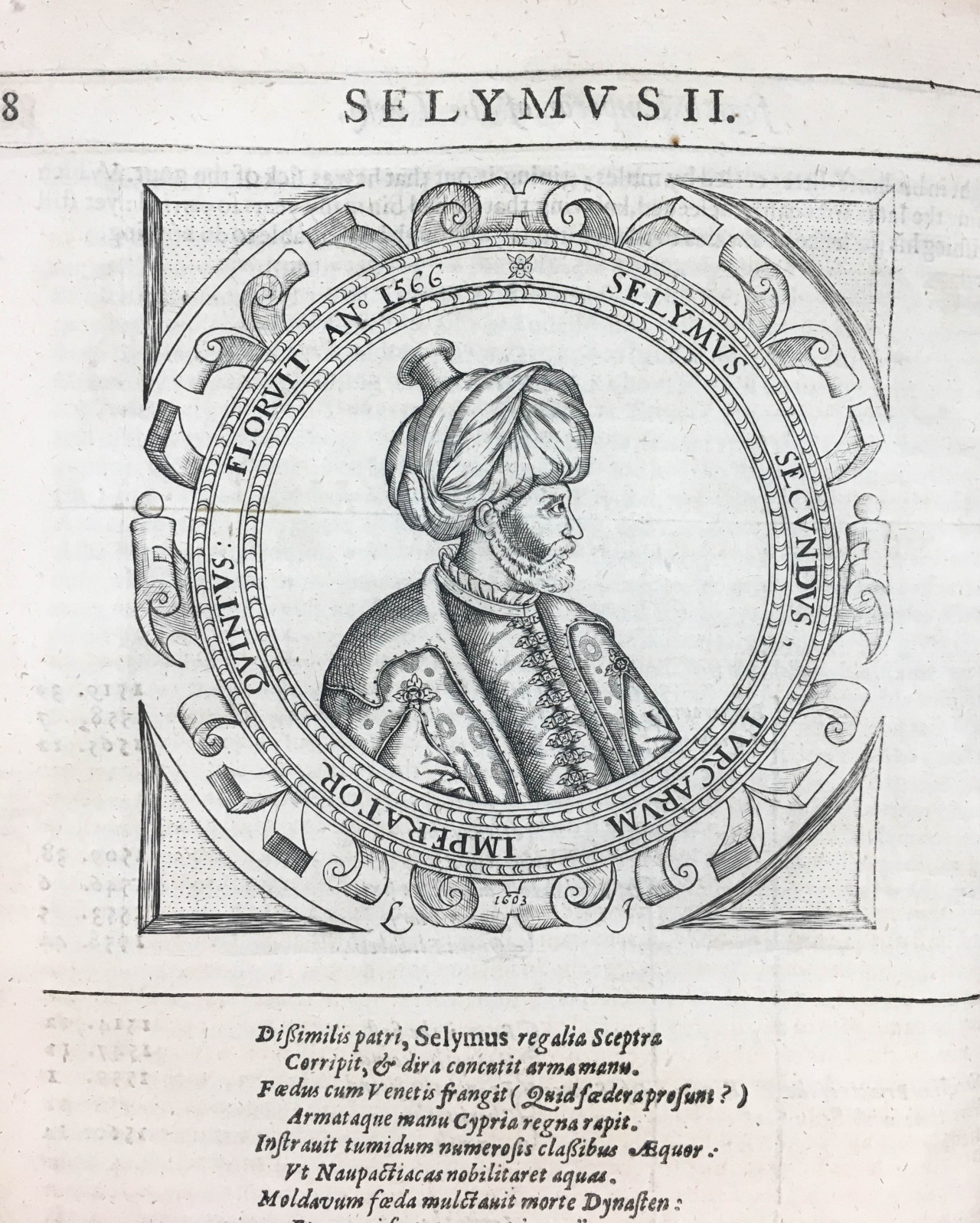 Sultans Tumblr Gallery