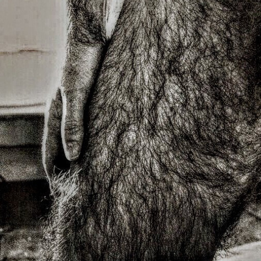 onlyveryhairy:yummy1947:papillon52:hairylegsloverx-deactivated2019:Those Sexy Hairy MENThis handsome gorilla/bear is gorgeous with his beard, moustache and spectacles. This stunning stud has the hairiest arms and legs I’ve been lucky enough to see for