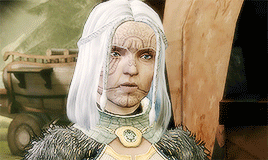 denerim:Ultimate Dragon Age Meme: Dragon Age: Origins + One Warden Origin - Mahariel“I wish we’d nev