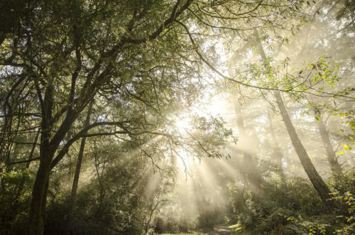 with the fog rolling in… by Stephen