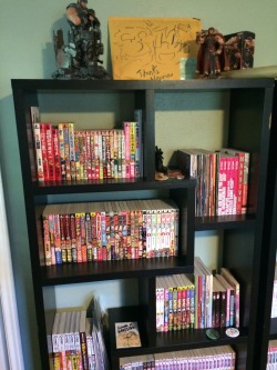 bara-detectives:  My boyfriend an I’s gay manga (bara) collection up to date. This is all we’ve collected over the past several years.