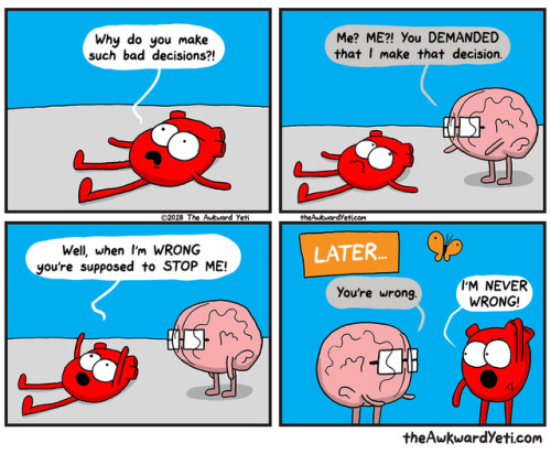 theAwkwardYeti.com