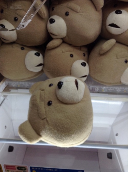 disembodied Ted