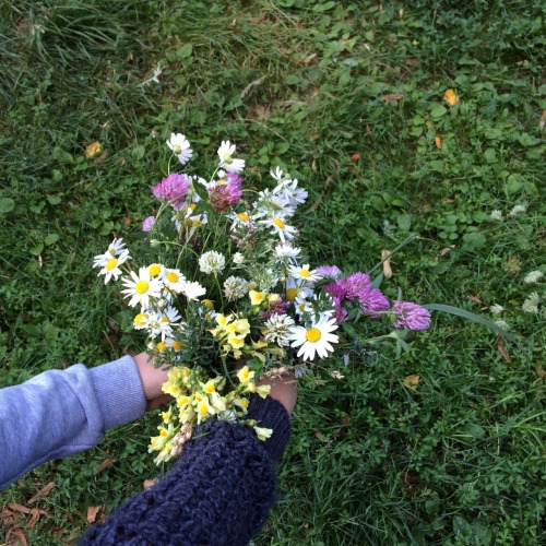 tinyhappykoala:  last day of summer // walking and picking flowers 🌿 