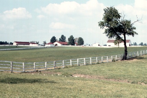 Horse Farm in the Bluegrass Near Lexington, Fayette County, Kentucky, 1971.