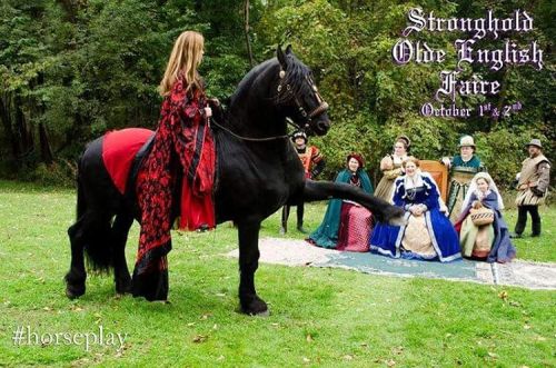 This weekend (October 1st &amp; 2nd) is the Stronghold Olde English Faire at the Stronghold Conferen
