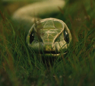 fieldelf:  crystalwitchery:  nope nope nope nope nope nope nope nope no  omfg 