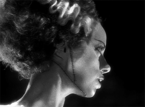 vanessacarlysle:The Bride of Frankenstein (1935) dir. James Whale