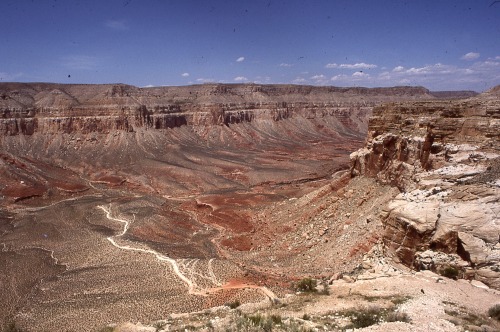 may 1979 / arizona