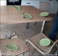 lawebloca:  Ping pong plates, and a pack of gravity ** video **