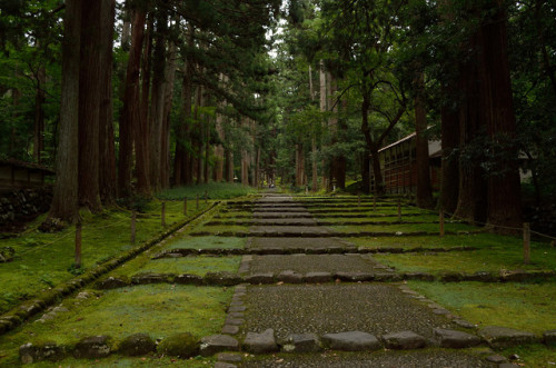 平泉寺白山神社