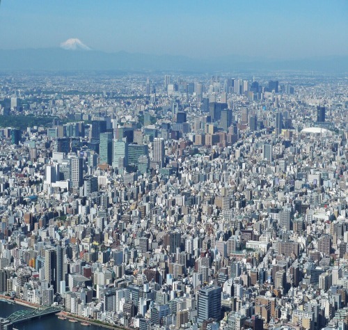 Mt. Fuji and a small section of Tokyo as seen from the Tokyo Sky Tree