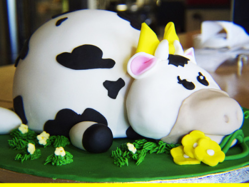 Daisy The Cow Cake