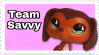 Littlest Pet Shop