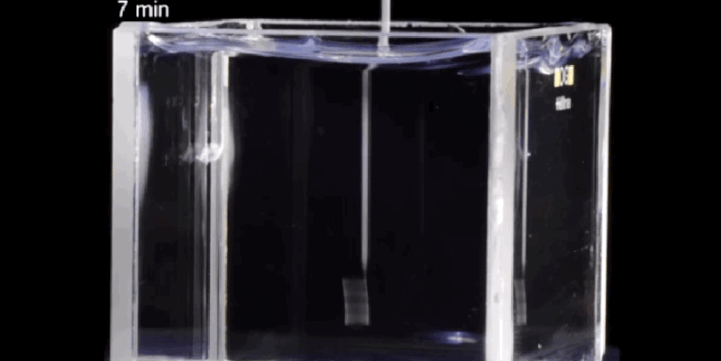 did-you-kno:  mymodernmet:  Innovative 3D Printed Creations Paving the Way for a