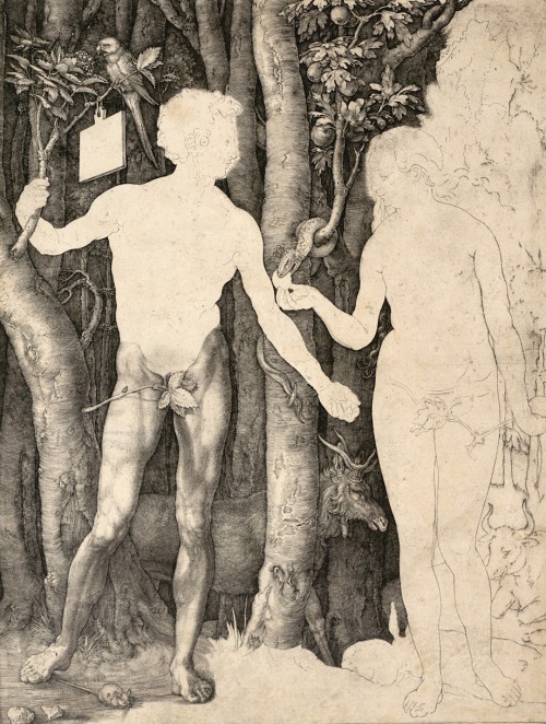 magictransistor:Albrecht Dürer, Adam and Eve (Copperplate engraving, second proof), 1504.