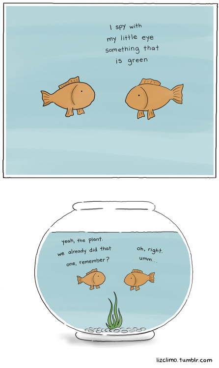 lizclimo:  fishbowl part two (part one)