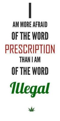 hashcompany:  lets support MARIJUANA!  follow me @ hashcompanytumblr.com