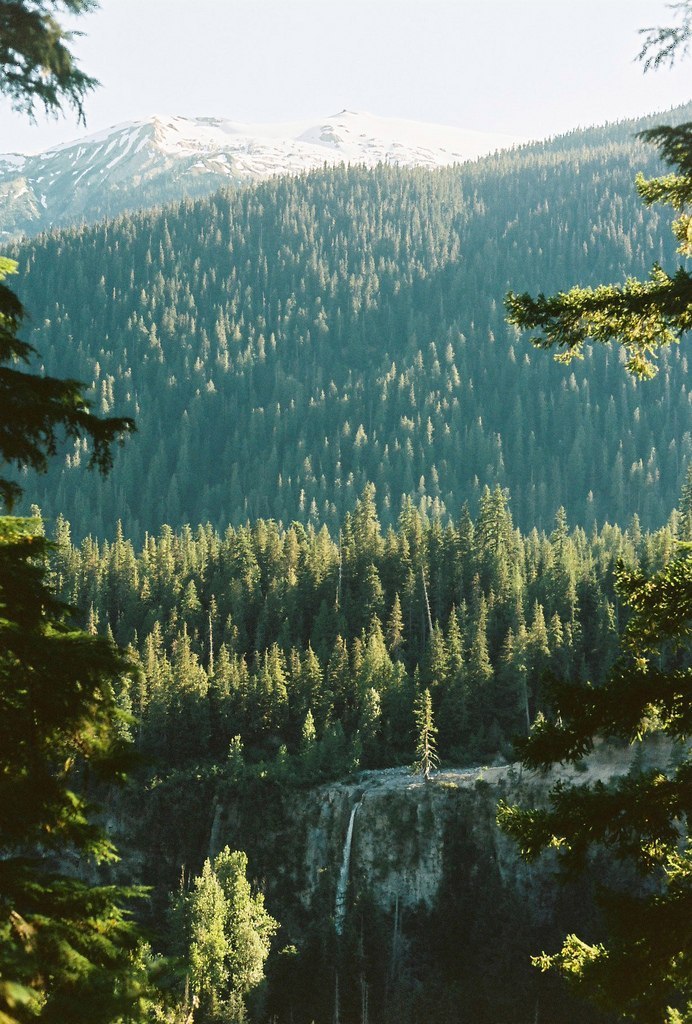 almightynature:  More nature photos at http://almightynature.tumblr.com