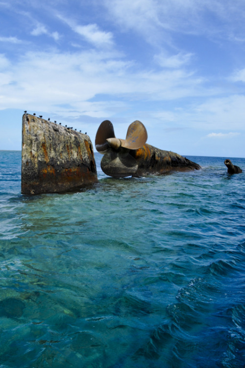 enrique262: The wreck of the German heavy cruiser Prinz Eugen, accidentally sunk in December 19