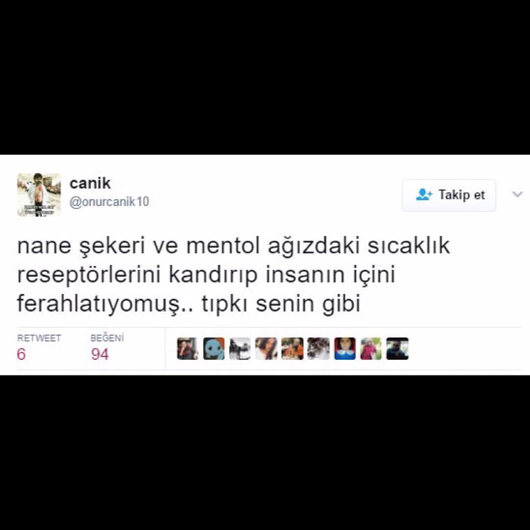 Nane şekeri ve mentol...