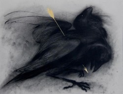 nataliehall: Death of insight   Wheeee 