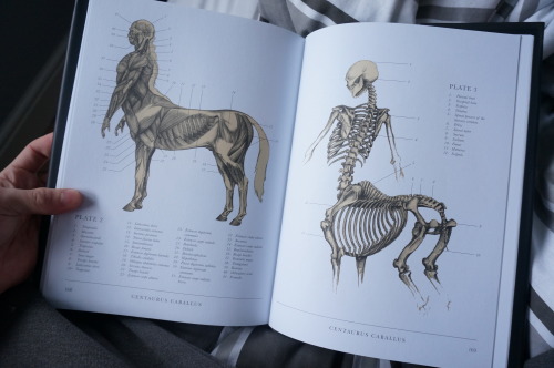 viszh:  wlandy13:  clepse:  One of me favourite books, a Gray’s Anatomy for mythological creatures.The Resurrectionist // Eb Hudspeth  I need this book so much D:  viszh mair-animation-illustration tupperwits  ho duuuude