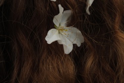 thc-kittyy:  macro shots of my curls 