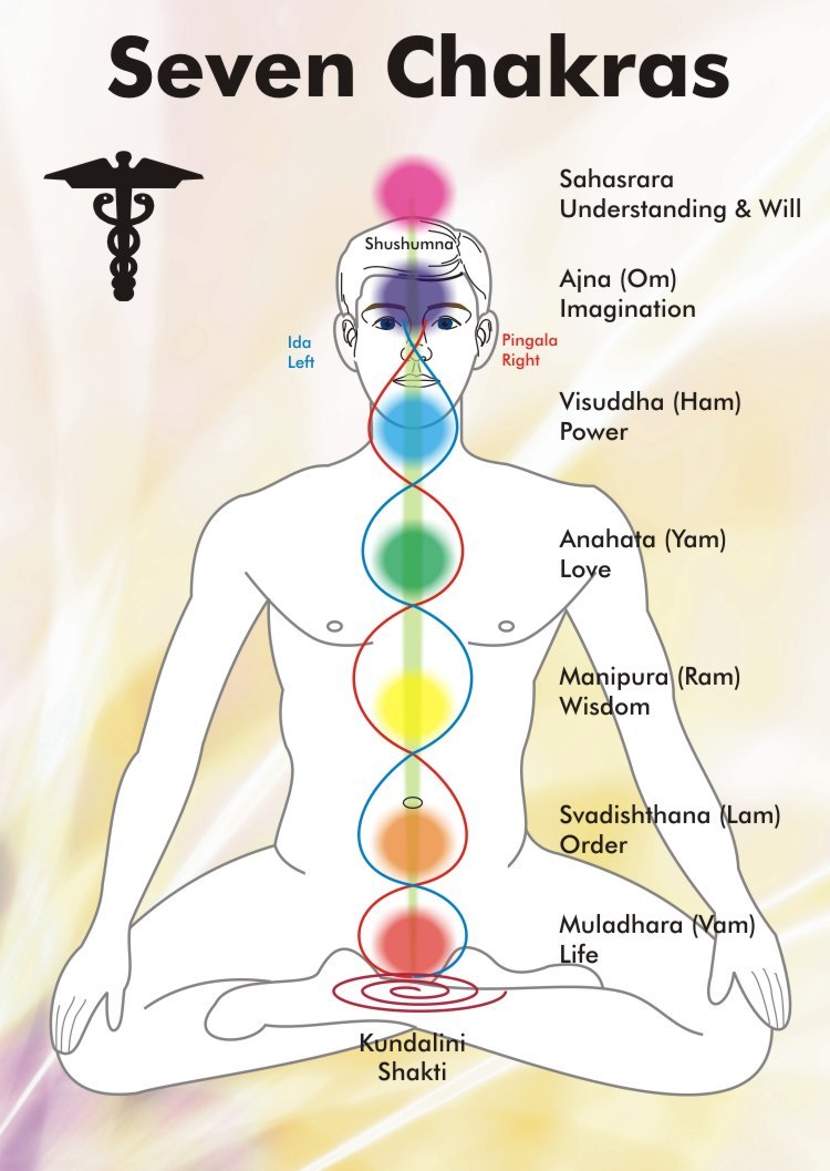 johannasjourney:  The seven Chakras Blocked energy in our 7 Chakras can often lead