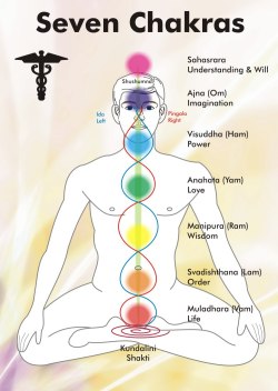 johannasjourney:  The seven Chakras Blocked energy in our 7 Chakras can often lead to illness so it’s important to understand what each Chakra represents and what we can do to keep this energy flowing freely.  Here’s our quick summary of the 7 Chakras: