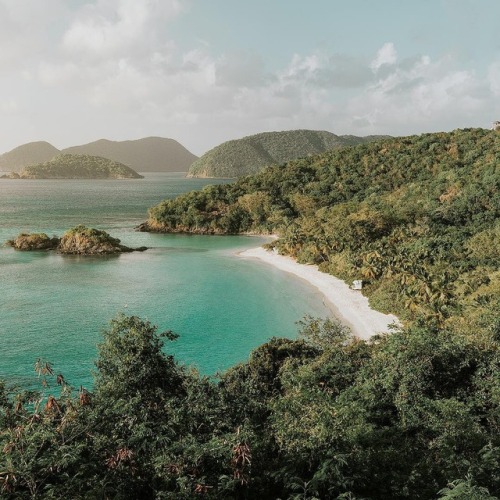 unamore: pinkwinged: Renee Hahnel Virgin Islands x