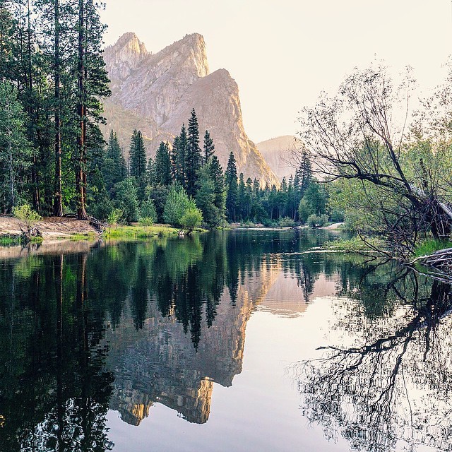 delta-breezes:  Alex McIntosh 